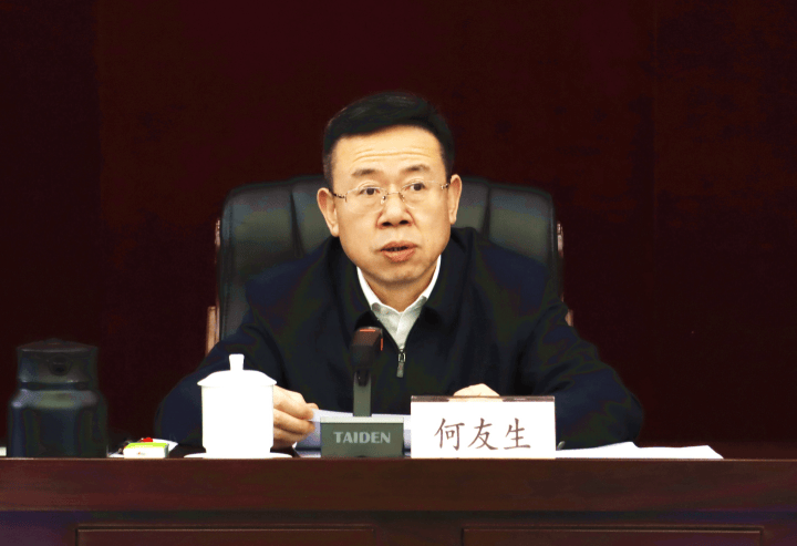 何友生以高质量巡察监督促进全区经济社会持续高质量发展