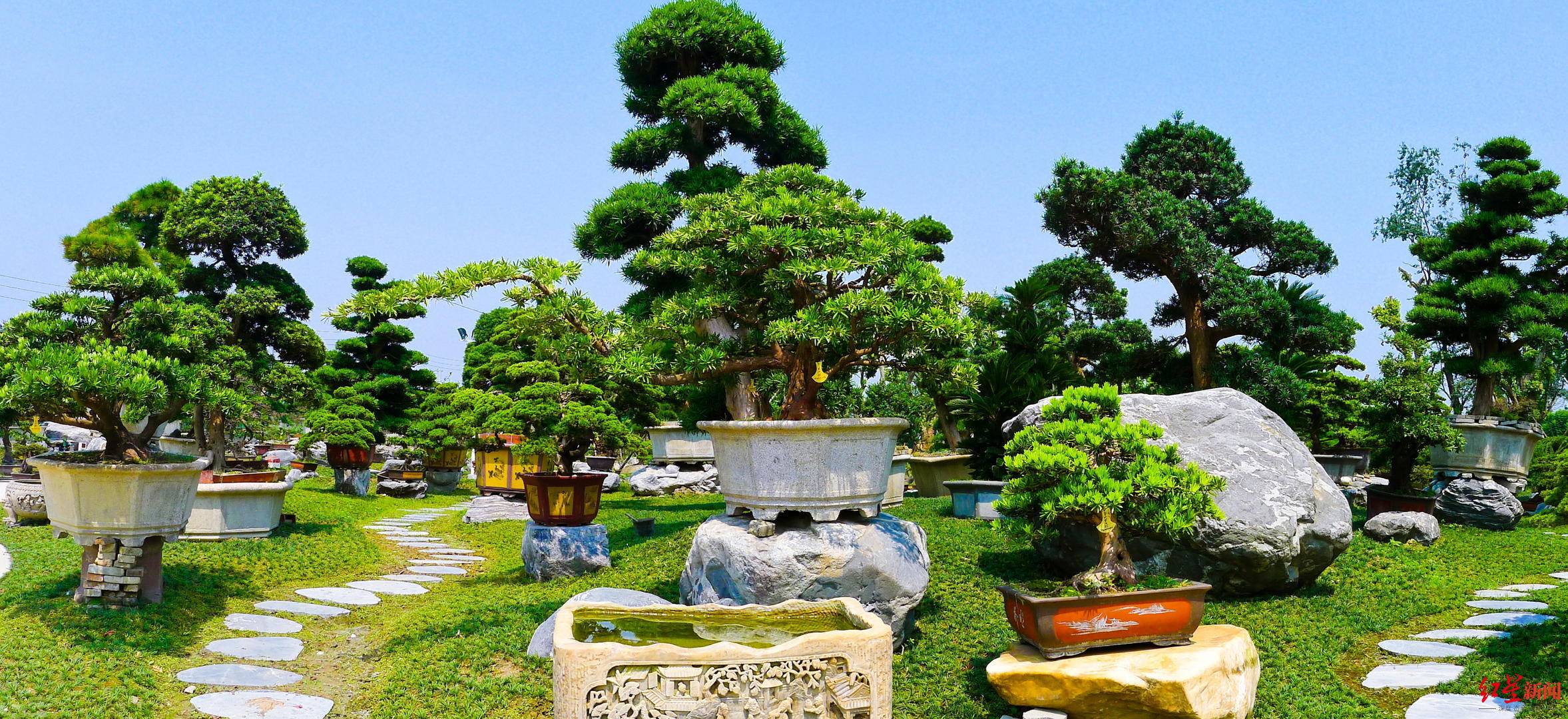 园区变景区2024成都世园会温江分会场将呈现八大消费场景