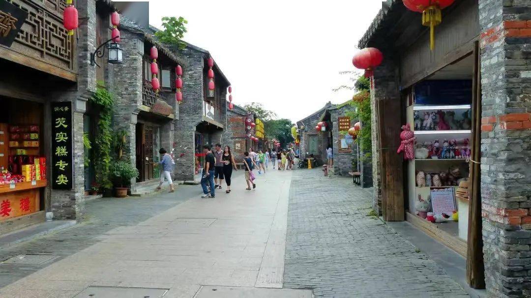 烟花三月醉美扬州329号成团瘦西湖千垛油菜花海李中