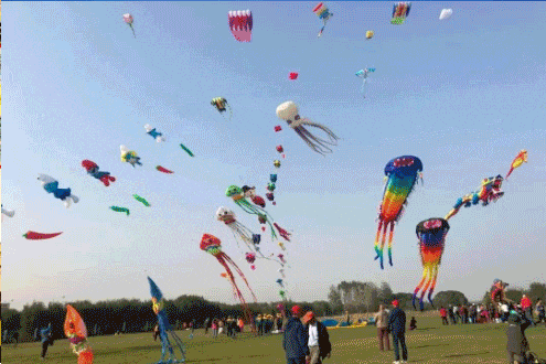 春日在宿迁,忙趁东风放纸鸢