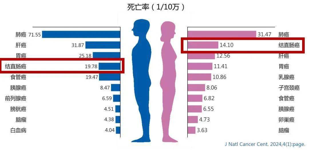 免费!我市重点人群结直肠癌筛查全面启动