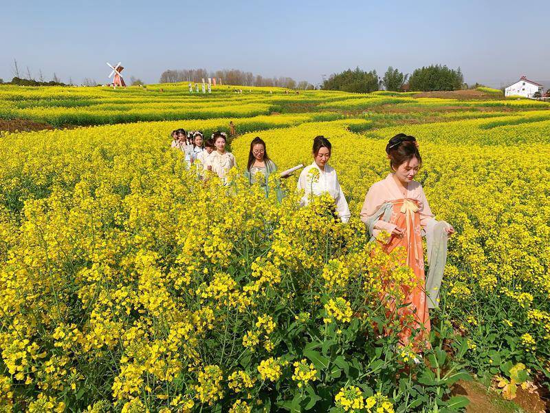 汉中油菜花节图片图片