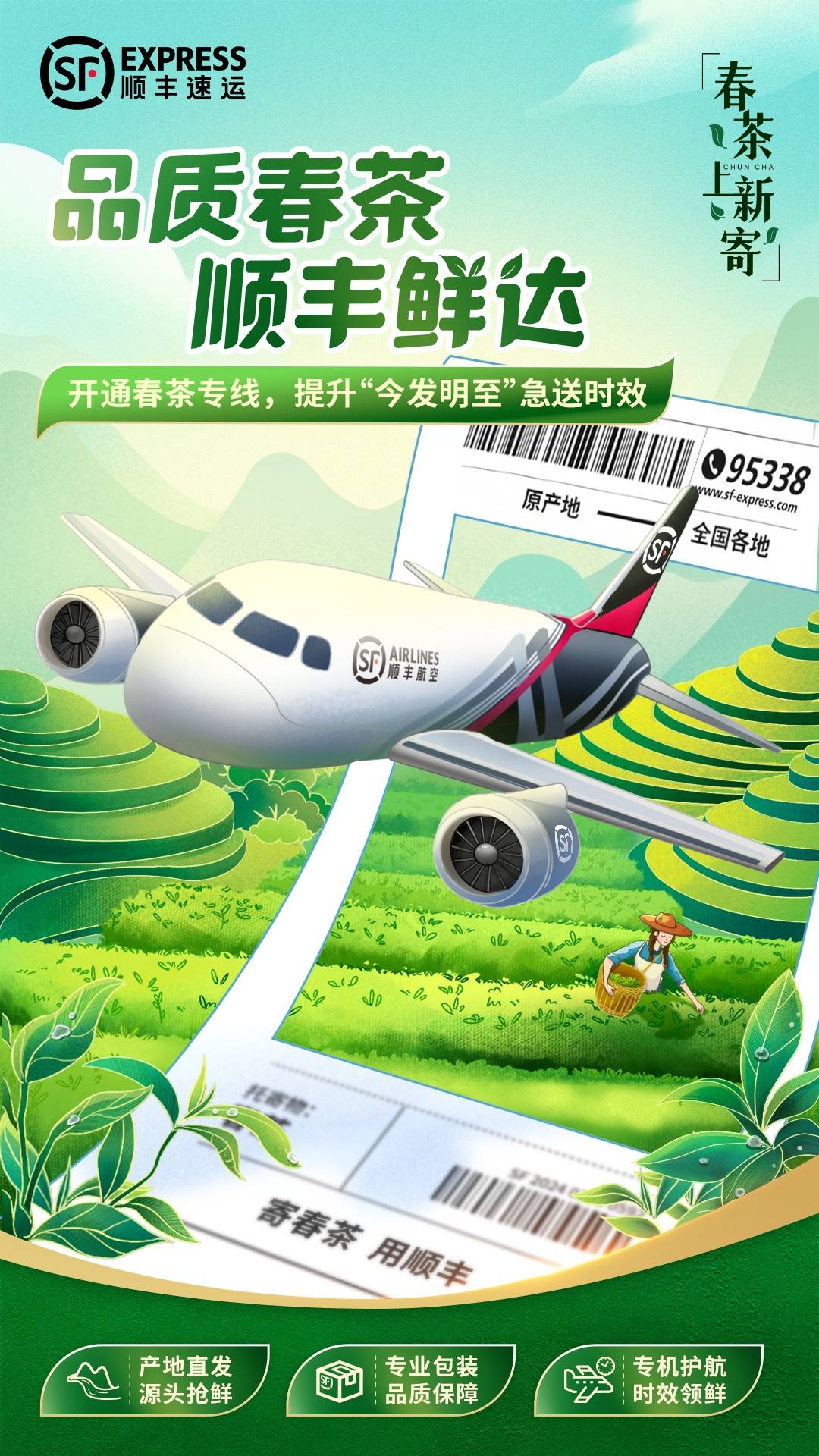 黔茶出山 顺丰"鲜"到