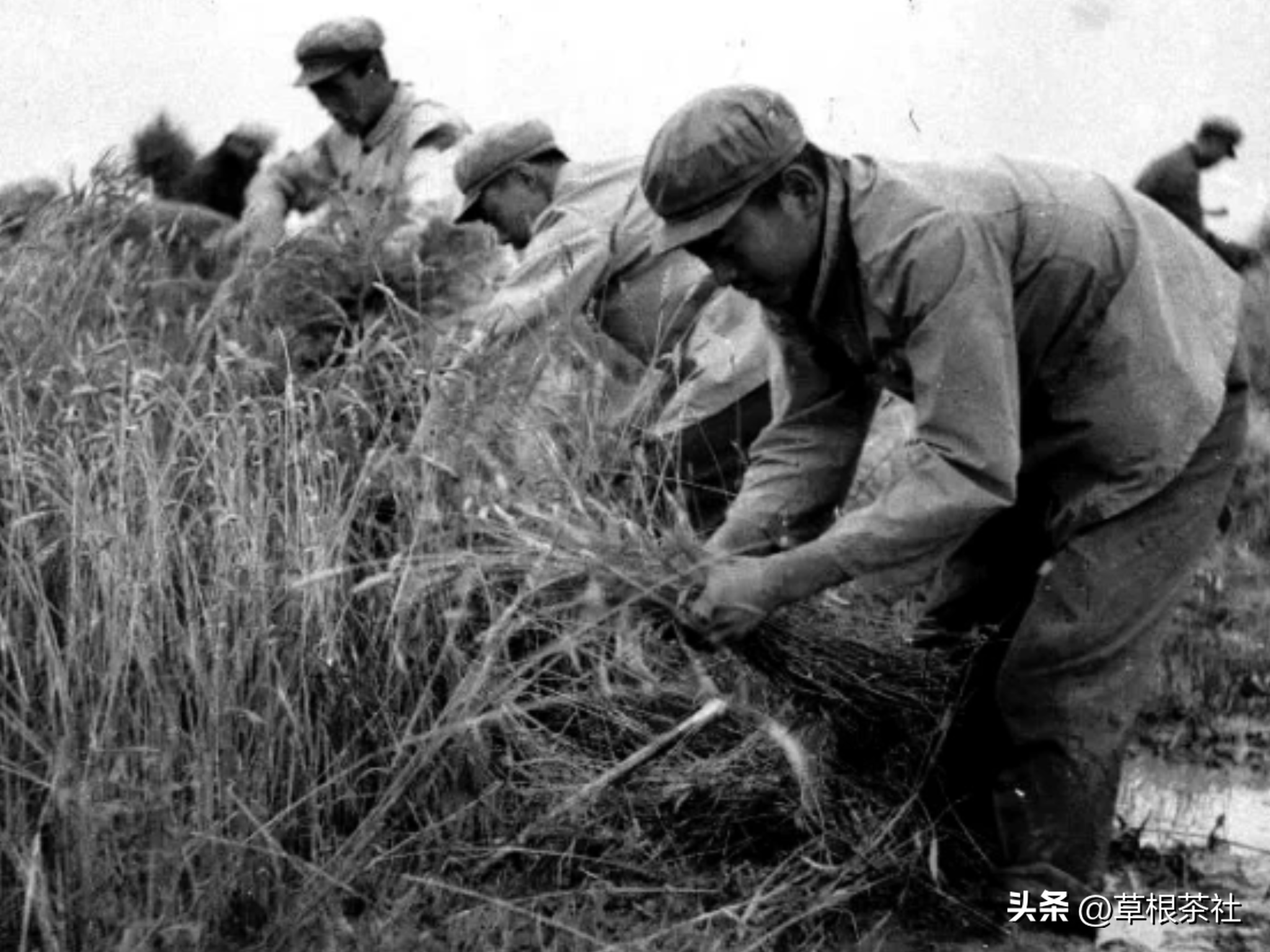 兵团知青往事当年搭便车遇到贵人从此改变了她的命运