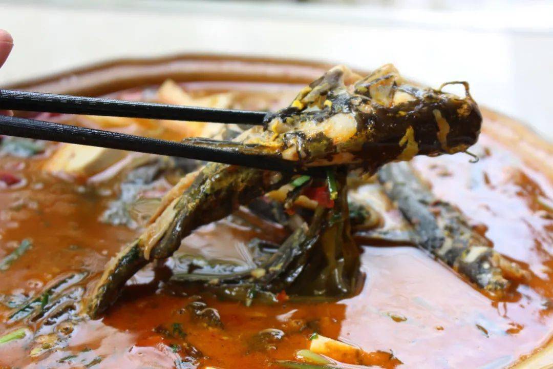 投票丨"食"在景谷,等你来"评"尝!好不好吃?您说了算!_菜肴_美食_调料