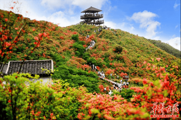 中国花湖谷景区总面积200平方公里,由"大花海""大湖泊""大峡谷"组成