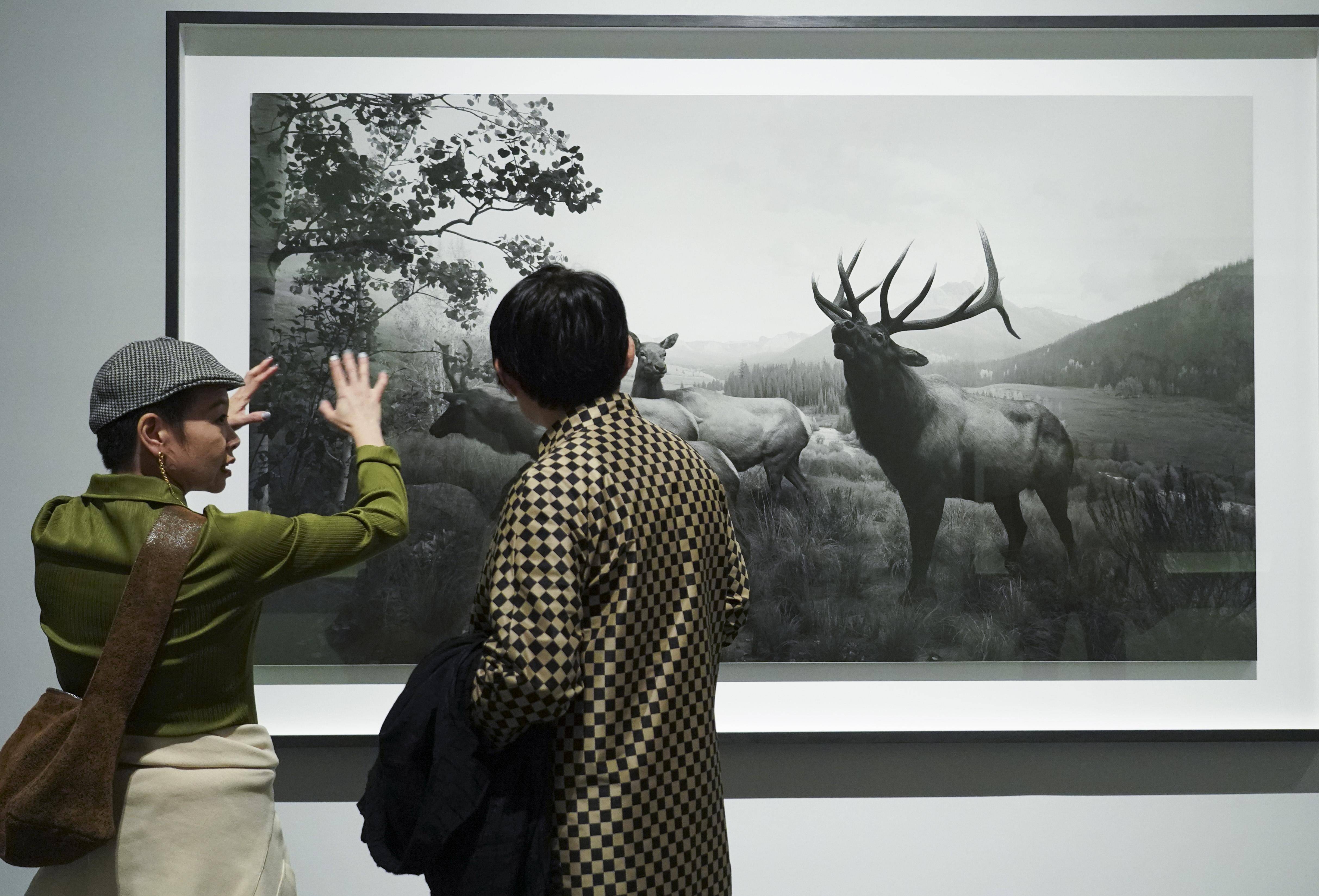 日本摄影艺术家杉本博司在京开展