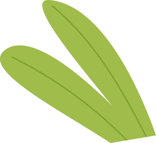 花朝节最全攻略来了明天开幕