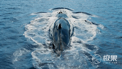 马桶冲水的时候就好像鲸鱼尾巴拍击海浪一样非常强劲有力,而且污水也