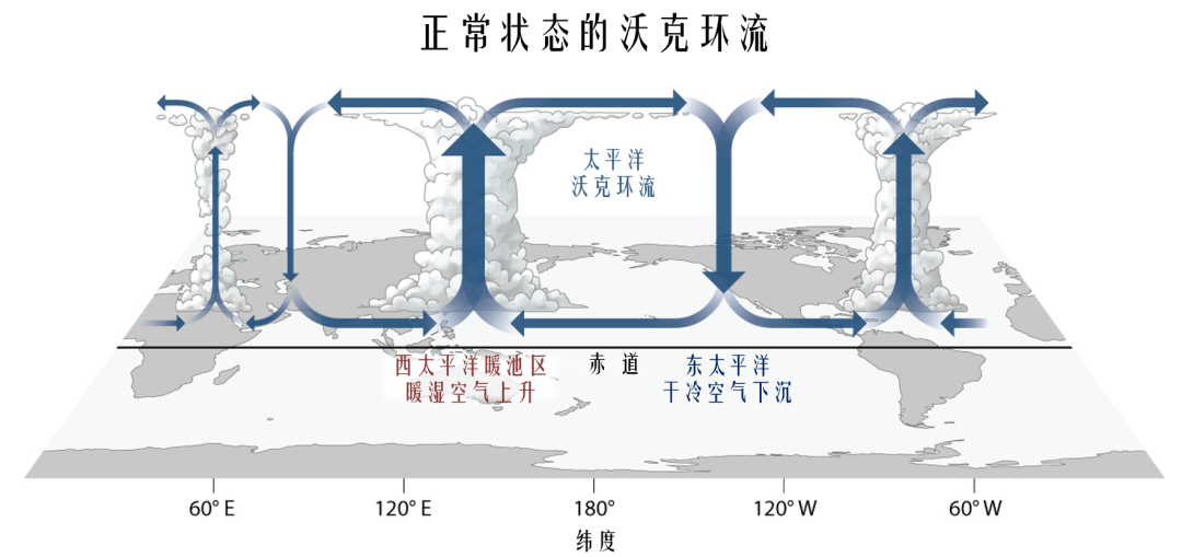 拉尼娜大气环流图片