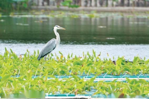 和谐宜居后沙峪向新而行勇争先