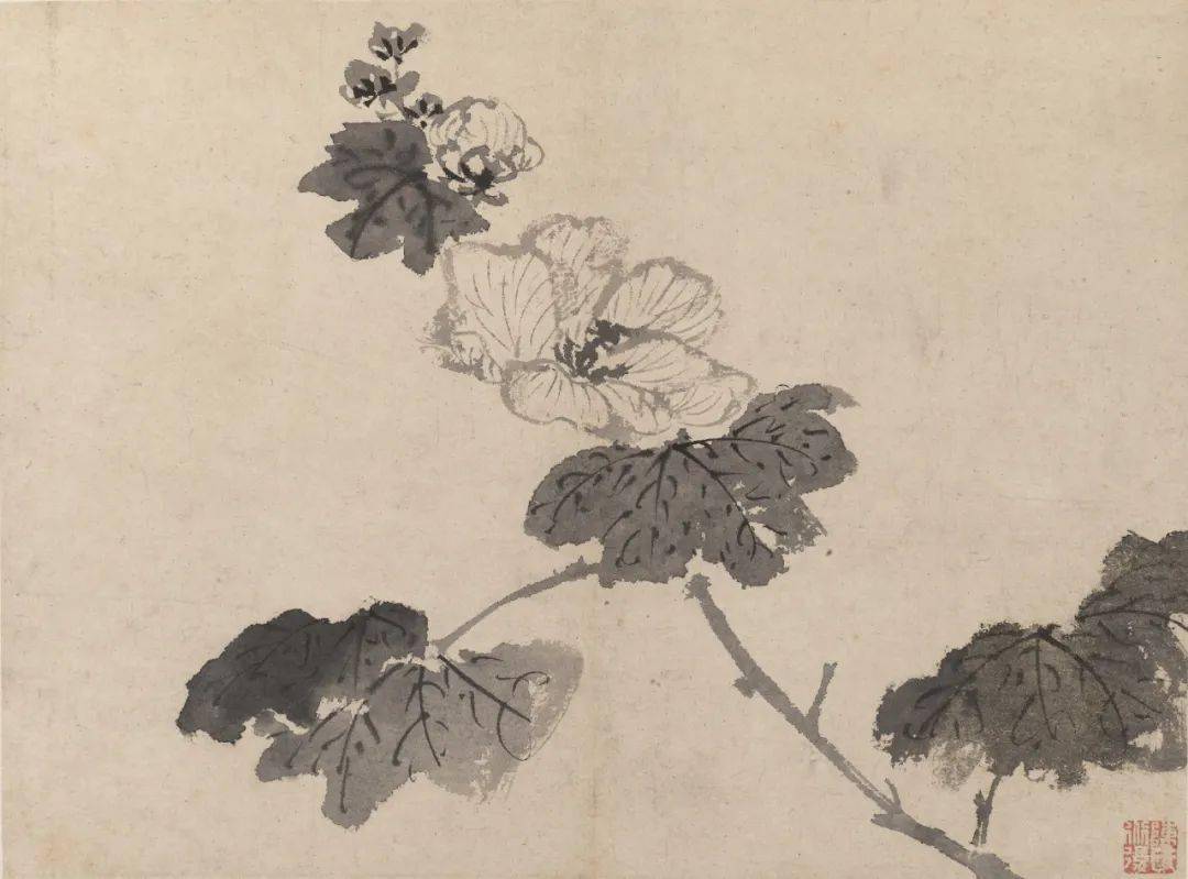 陈淳写意花鸟,淡墨逸笔悠然远,潇洒自得摇曳风!_作品_中国_绘画