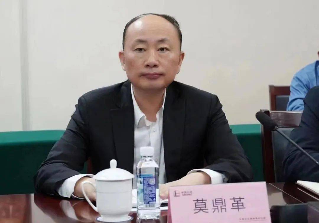 董事,总经理:文岗;独立董事:兰春杰;独立董事:杨有红;独立董事:陈壁