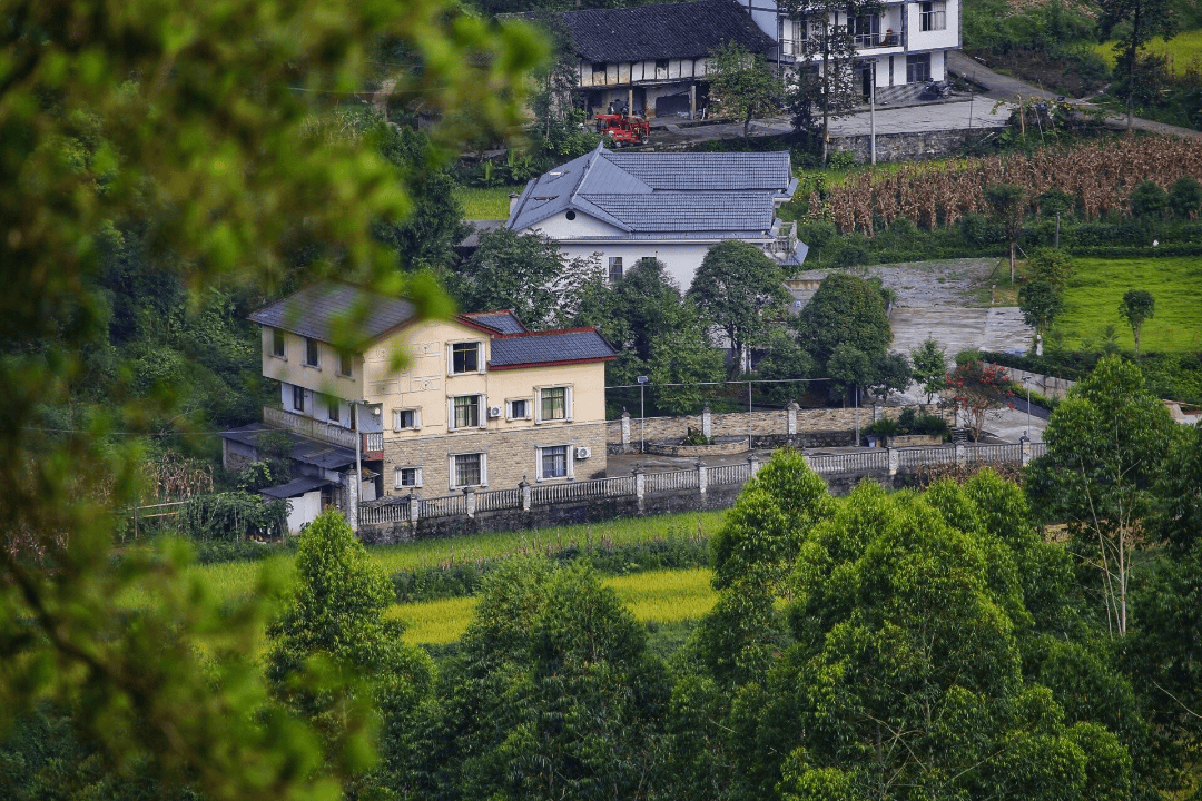 巴南这3个村被评为市级示范村