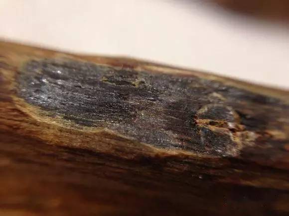 简单暴力鉴定沉香原材料真假啥都不懂也能明白