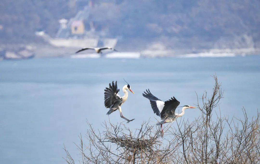 2024春天在辽阳打卡这10处风景一起拥抱生活里的幸福感