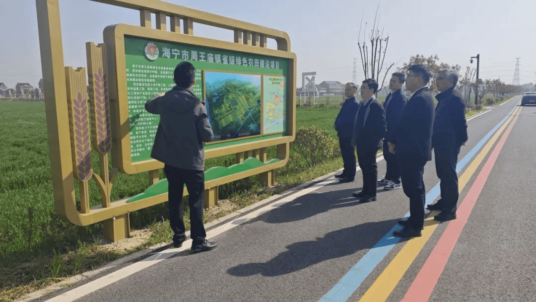 市委常委,常务副市长王一鸣陪同调研