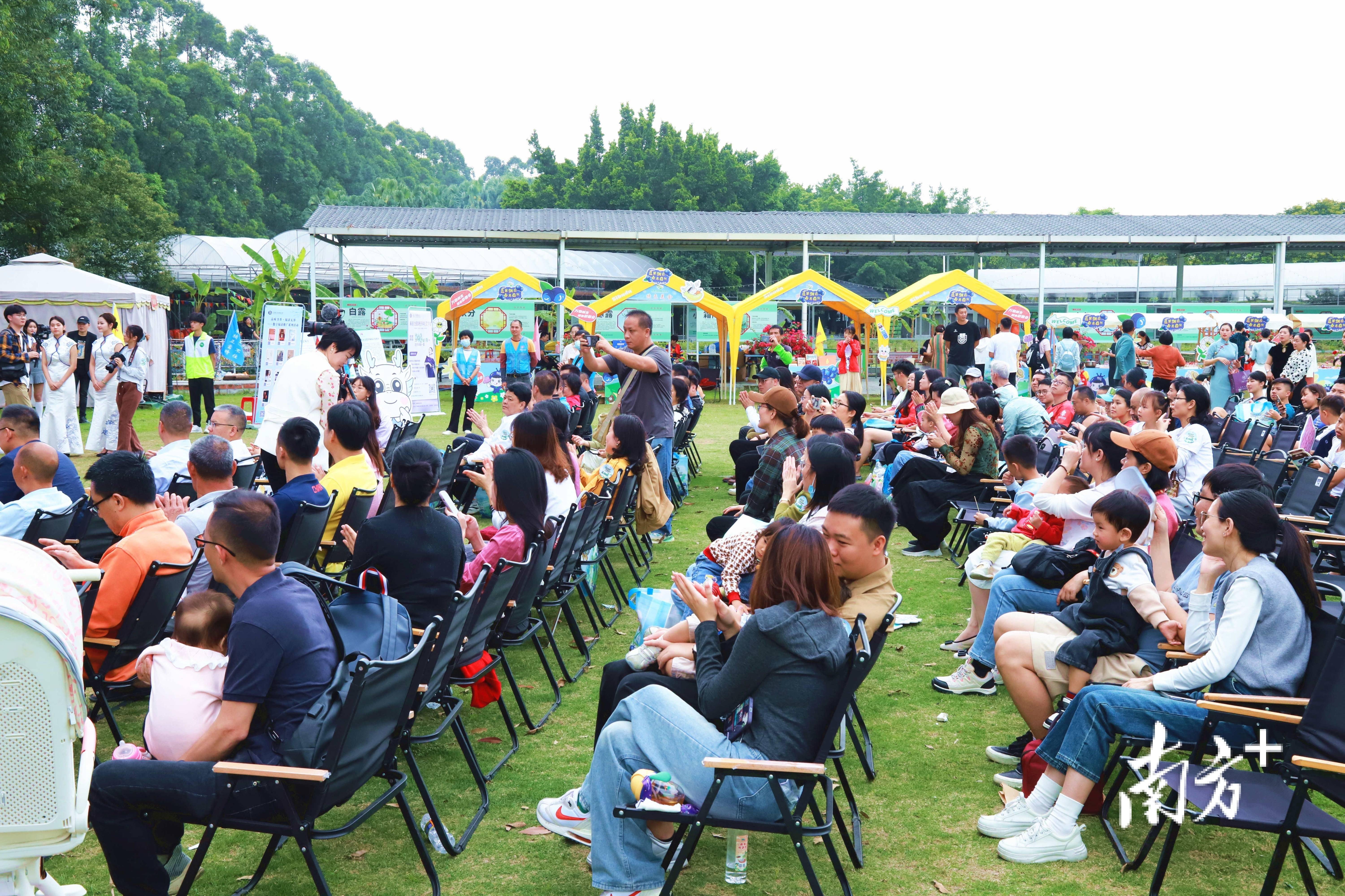 多图麻涌蓝莓采摘季启动莓好时光等你来