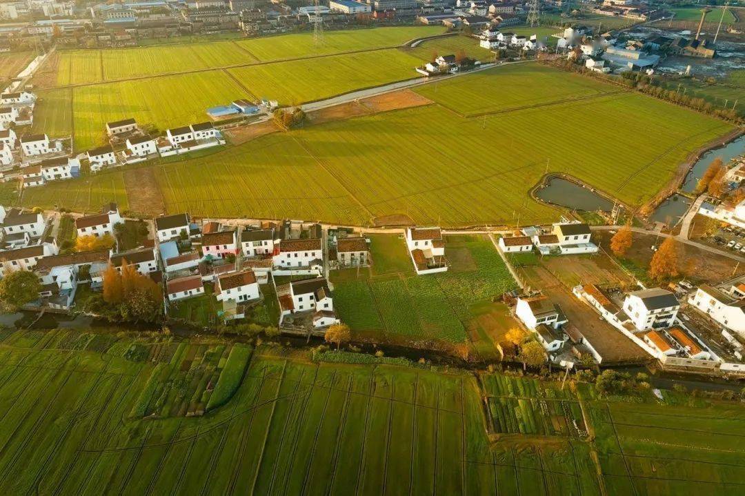 点赞苏州市农业农村现代化工作先进集体