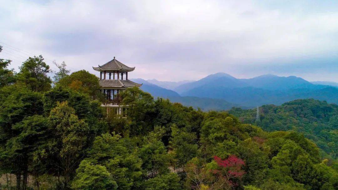 请收好这份龙门美景打卡攻略!_旅游_温泉_生态