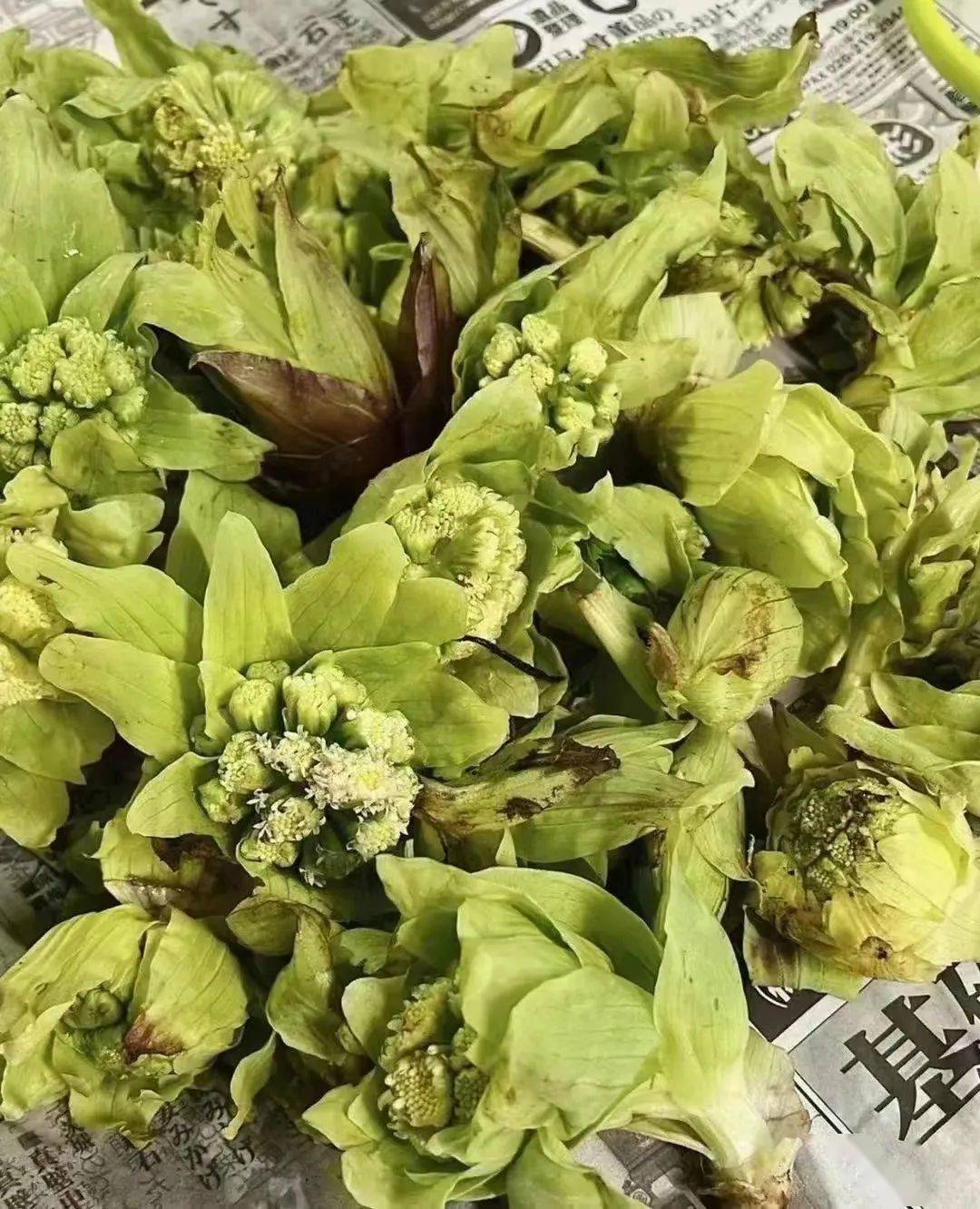 晚餐做个橄榄油罗勒白芦笋天妇罗楤木芽以及水煮油菜花一个美味又