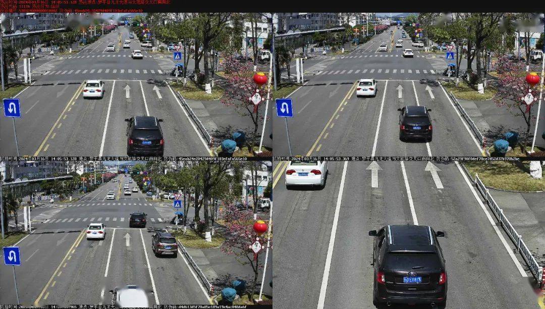 杨*碧违章地点:九龙大道与振兴西街交叉口南向北车牌:云a002pe姓名:田