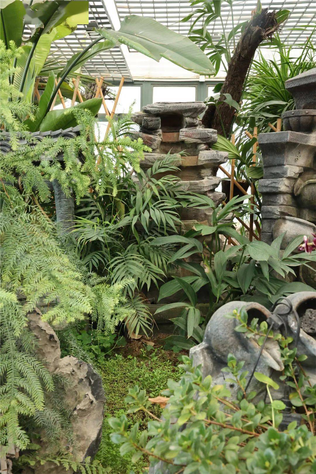 常州人周末低成本的快乐在夏溪花木市场找到了