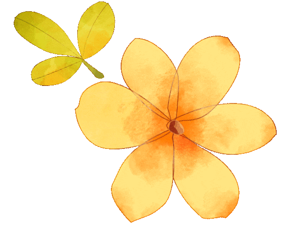 杏林宝鉴赏春时节说探花