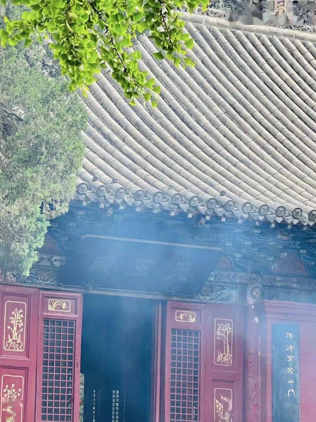 河南攻略丨游洛阳看牡丹玩开封体验穿越千年之旅