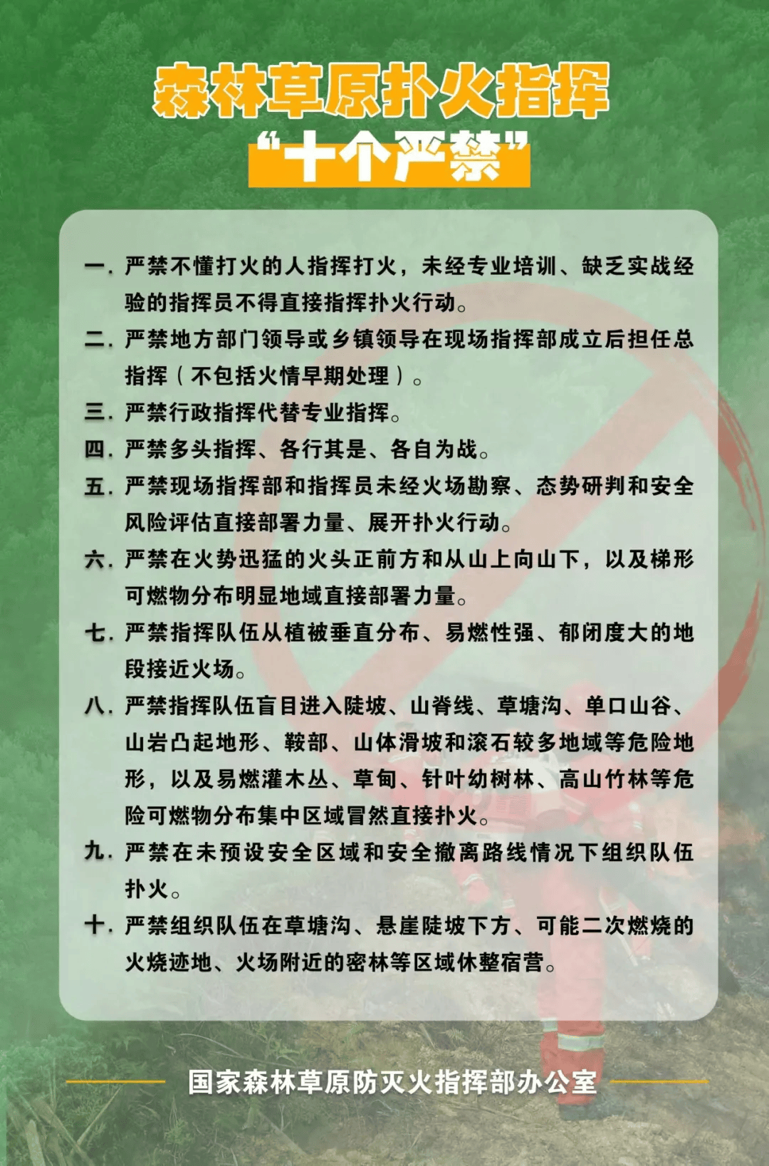 应急科普丨森林火灾高发期,防火要当先!