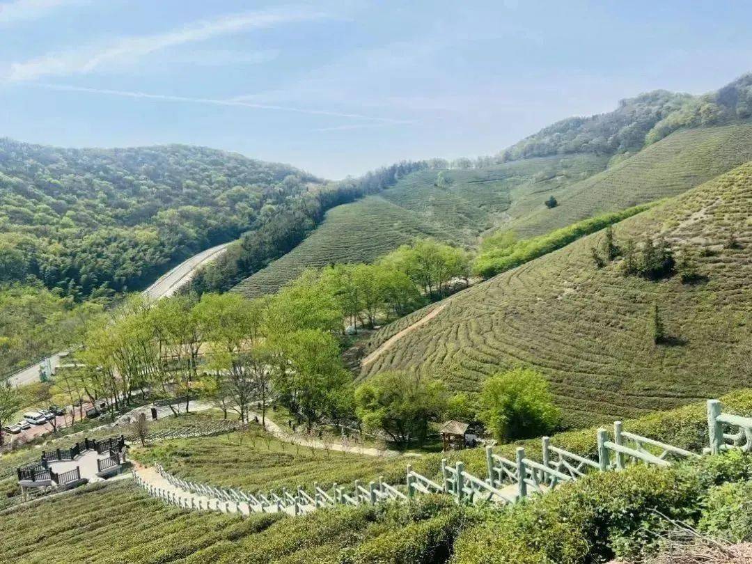 春游江淮 请来滁州|记录田园春意,带你一起去"村"游