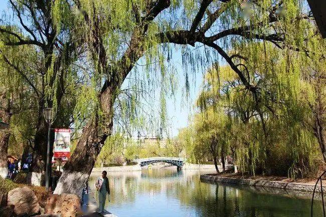 漫绘长春带上好心情去扫街