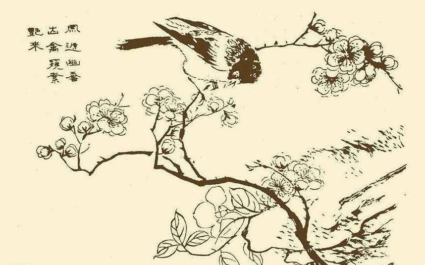 一部芥子园阅尽三百年绘画史美的惊叹