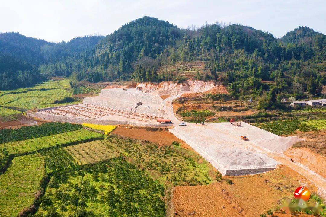 发"牛财"!边城镇"五村抱团"共奔致富路