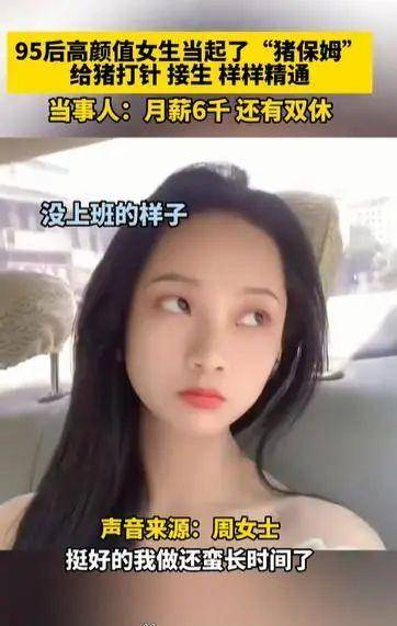 "95后"女生当上"猪保姆",网友:慕了慕了……_工作_小周_自由