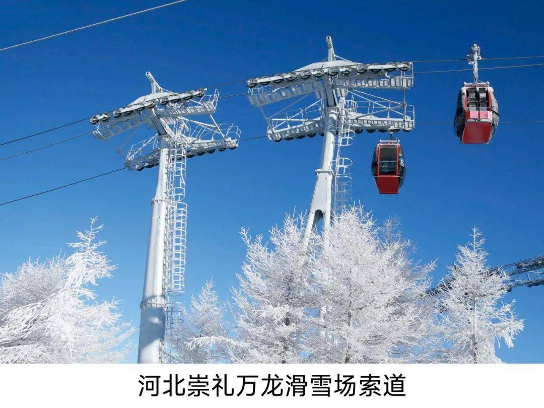 招聘信息2024年度中工国际春季校园招聘