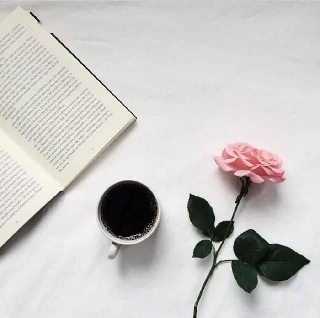 适合发朋友圈的精美句子,早安晚安语录走心励志文案