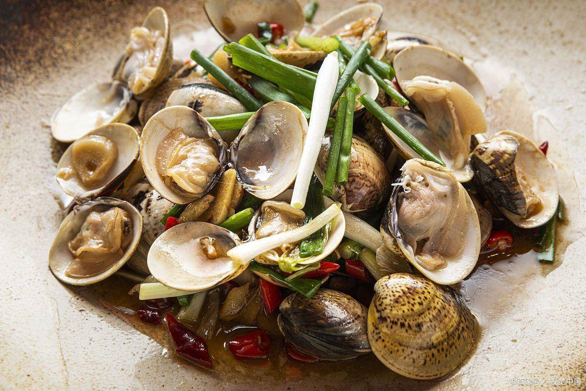 花甲吐沙不用滴油不用加醋海边人教你技巧泥沙15分钟吐干净