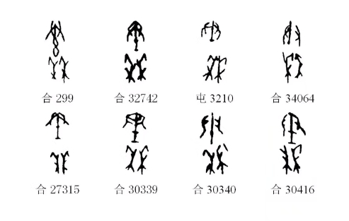 一起学习甲骨文秦