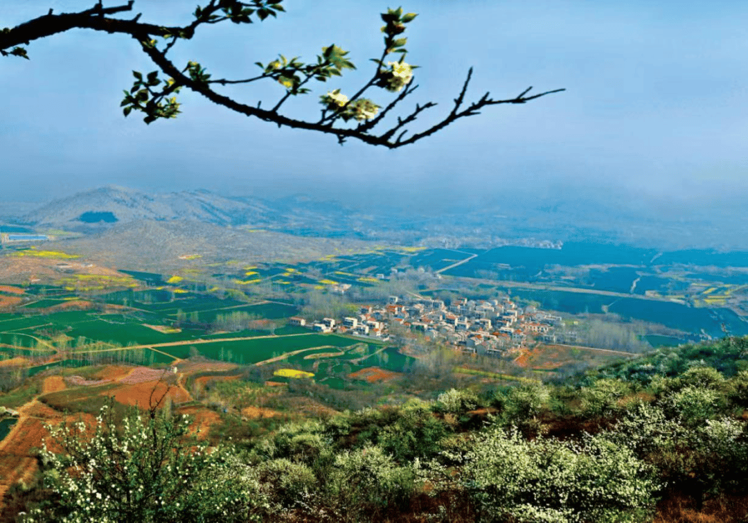 我们的和美乡村宿州市埇桥区镇头村农文旅高度融合绘就和美乡村新画卷