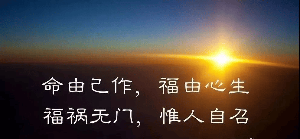 姐姐_不义之财_命中