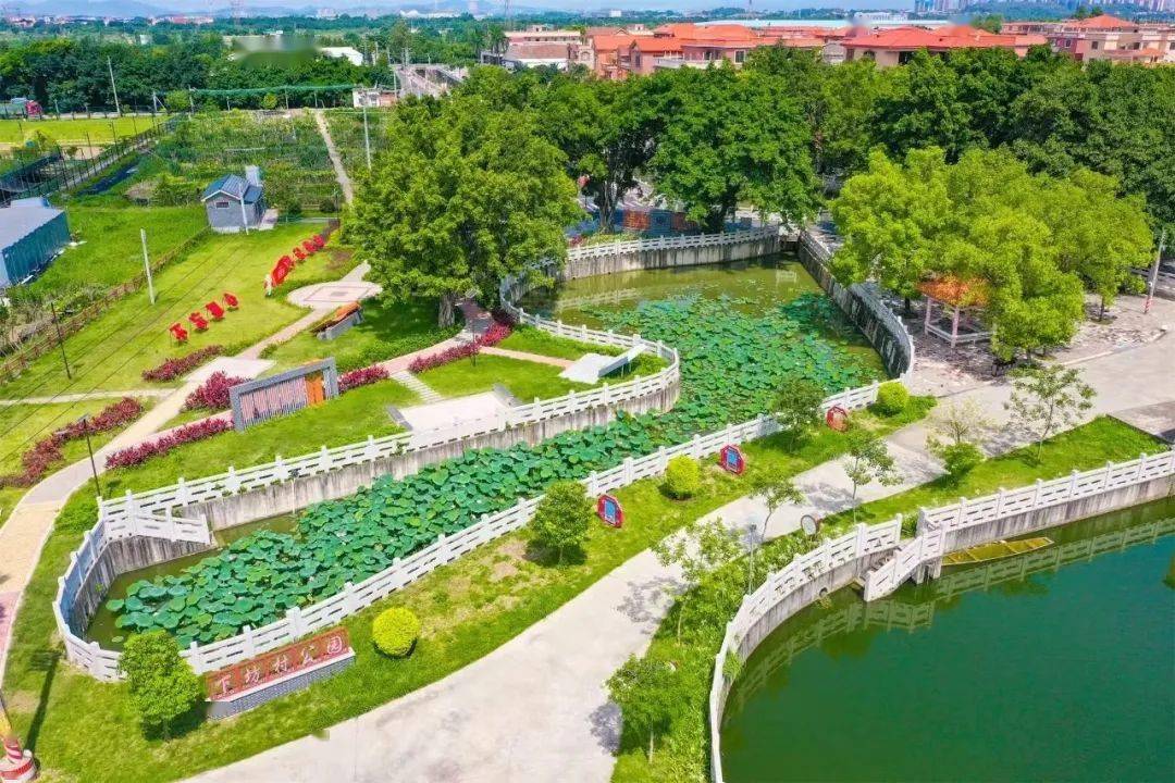 认真学大胆干西樵百名干部学习绿美破局战术