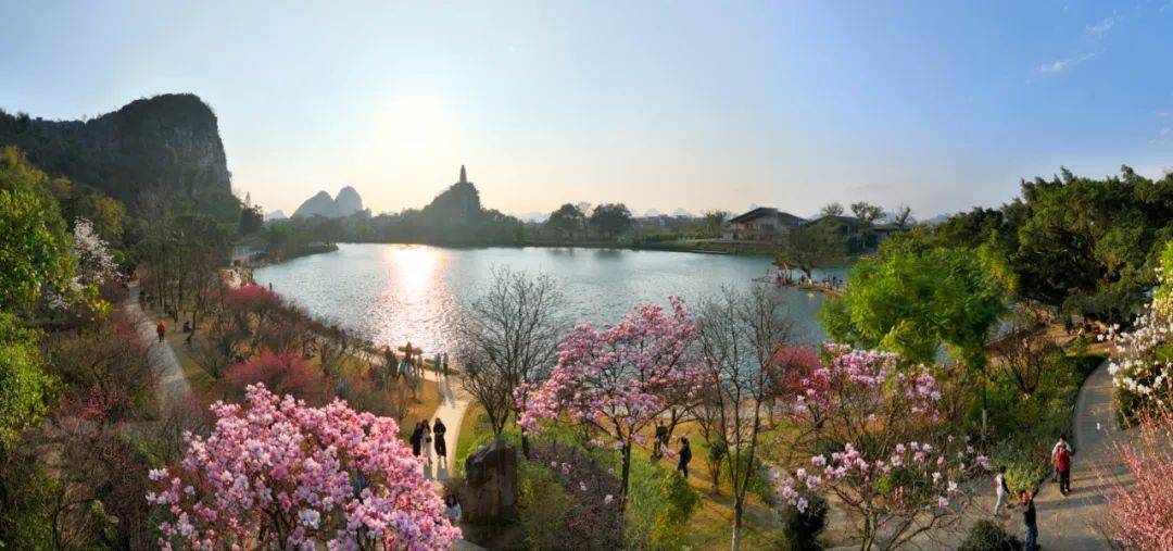 惊艳桂林这些地方花团锦簇美不胜收