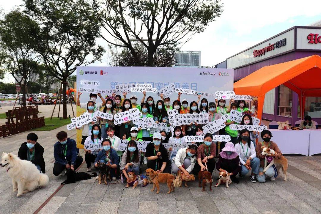 第四十七届昆明领养日现场志愿者报名