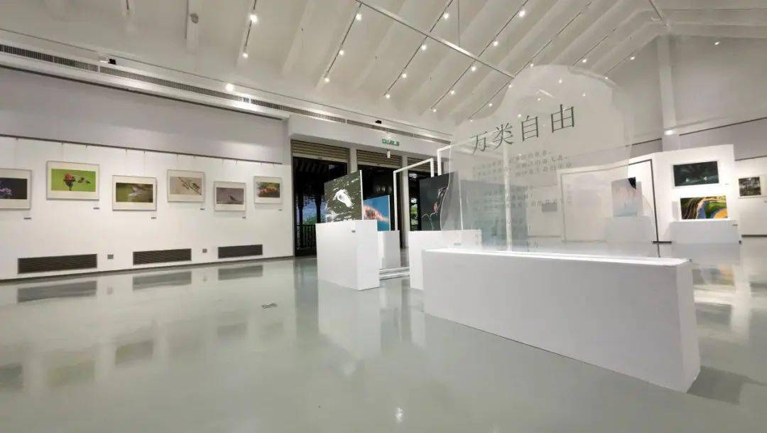 雲觀展綠美廣州穗影凝眸廣州市直屬機關攝影作品展線上展播一