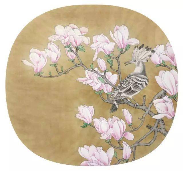 【国画教程】工笔团扇《玉兰戴胜图》绘制步骤!
