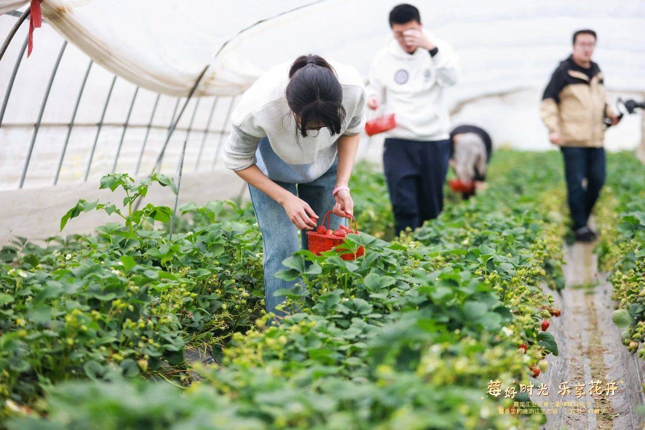 三花节来啦一起来赏娇艳春花品土味美食