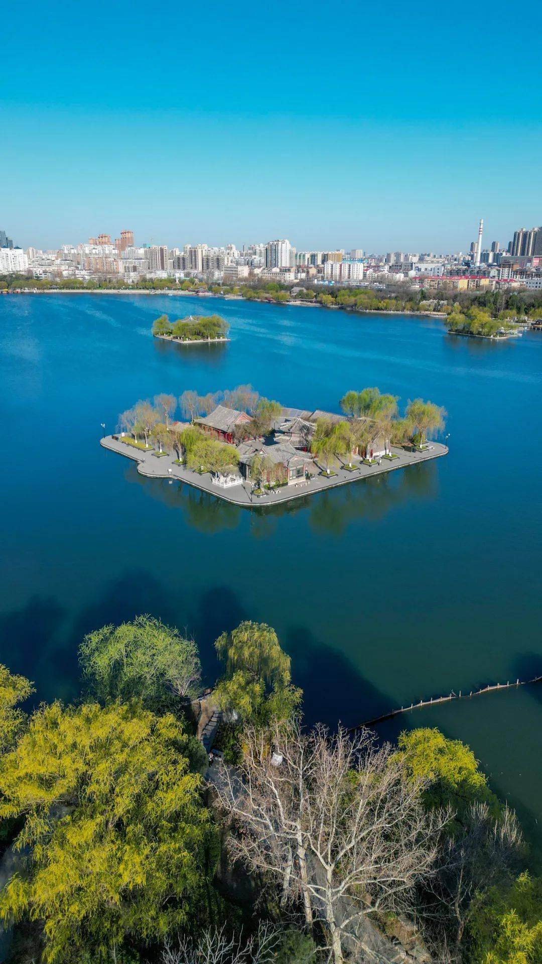 当课文中的春和景明走进大明湖