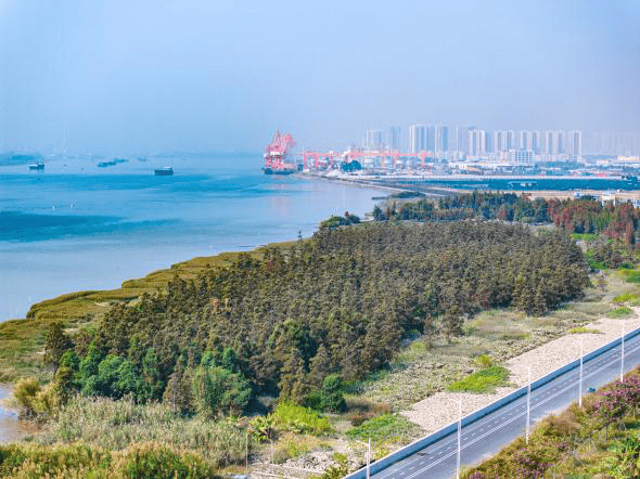 夯实乡村振兴治理基础,奋力为圭峰会城高质量发展增砖添瓦