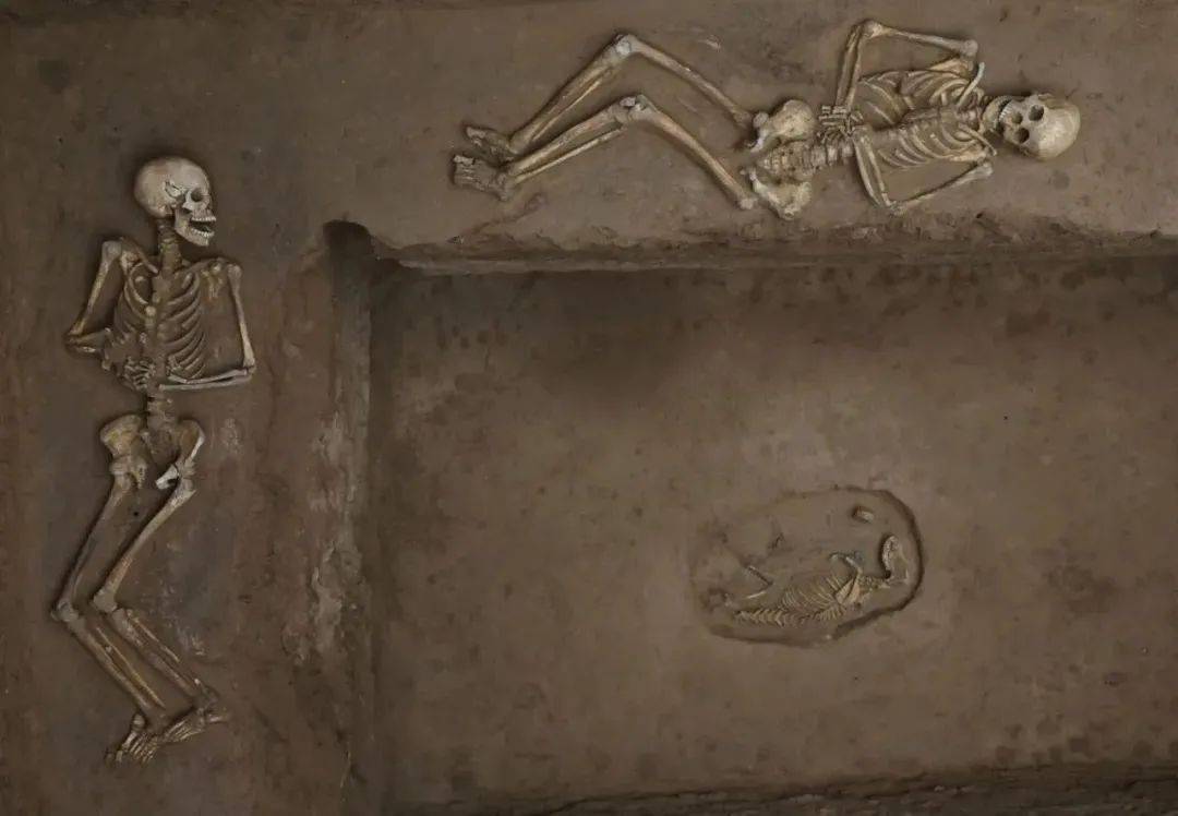 陕西六大参评项目丨韩城陶渠春秋京邑遗址